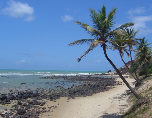 Ontdek de duinen in Natal en Pipa