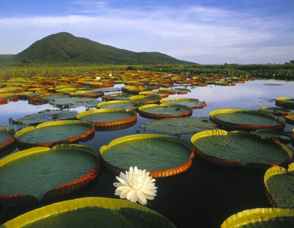 Discover the Pantanal 5 days / 4 nights